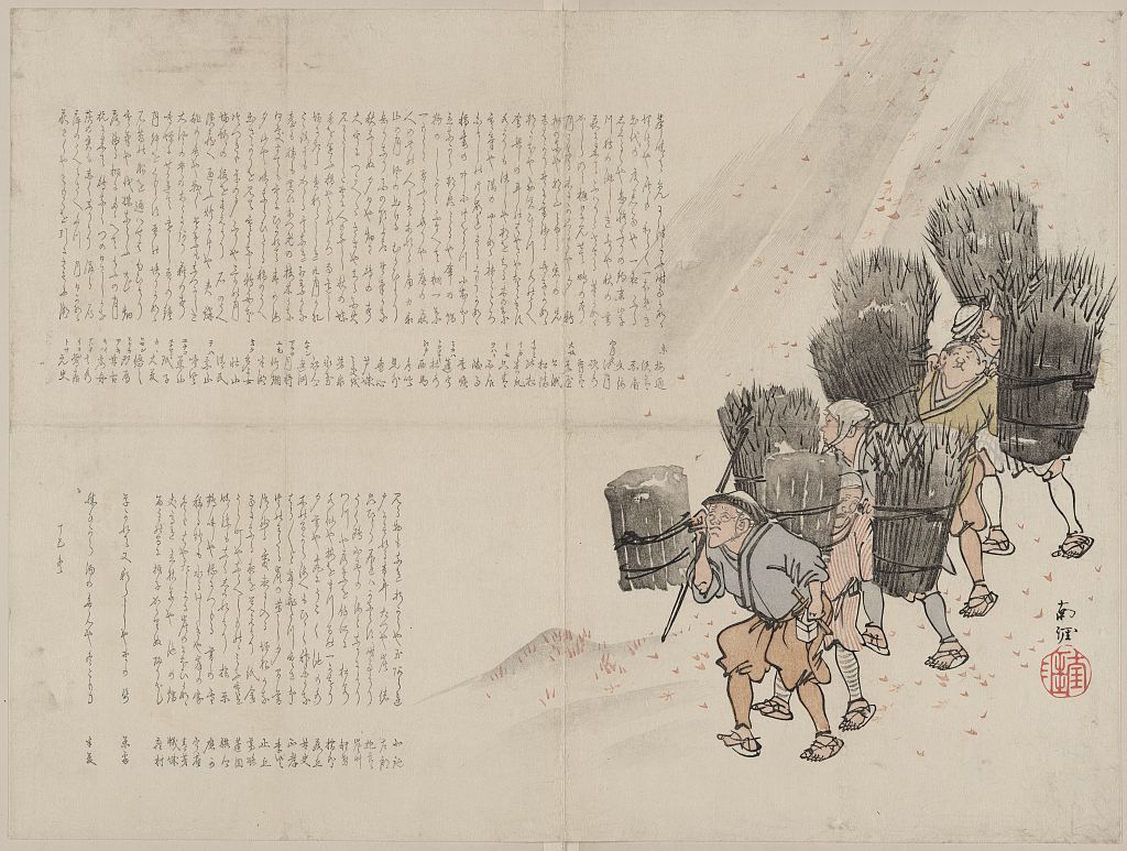 A picture of Shibakari