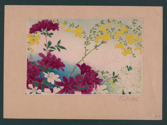 A picture of Shoka no hana
