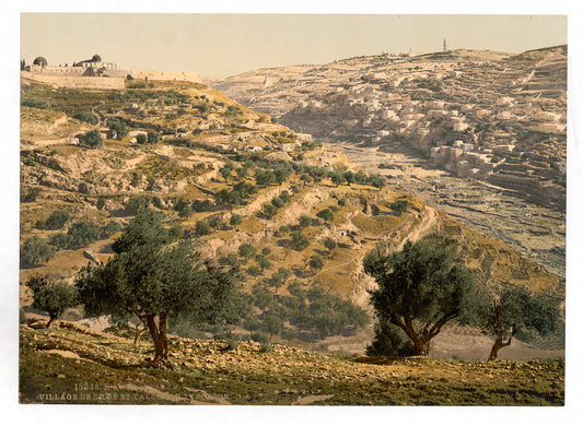 A picture of Siloam and the Tyrophean Valley, Jerusalem, Holy Land