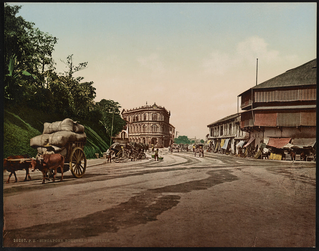 A picture of Singapore. Boustead Institute