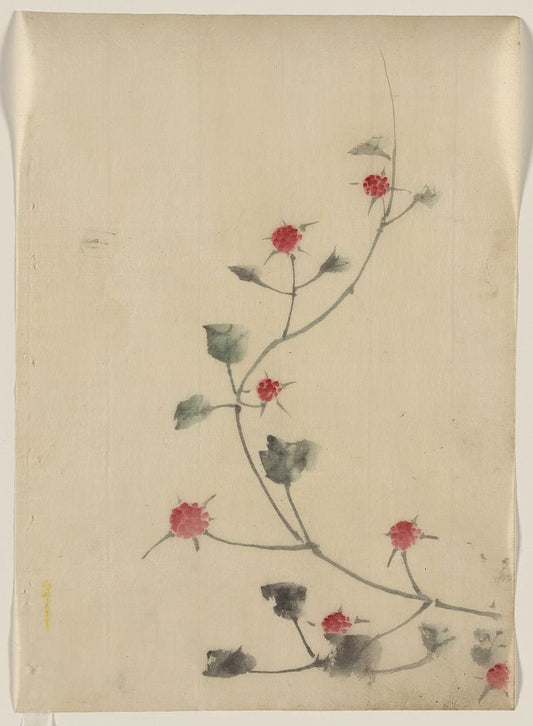 A picture of Small red blossoms on a vine