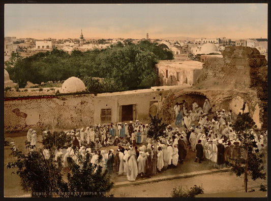 A picture of Snake charmer, Tunis, Tunisia