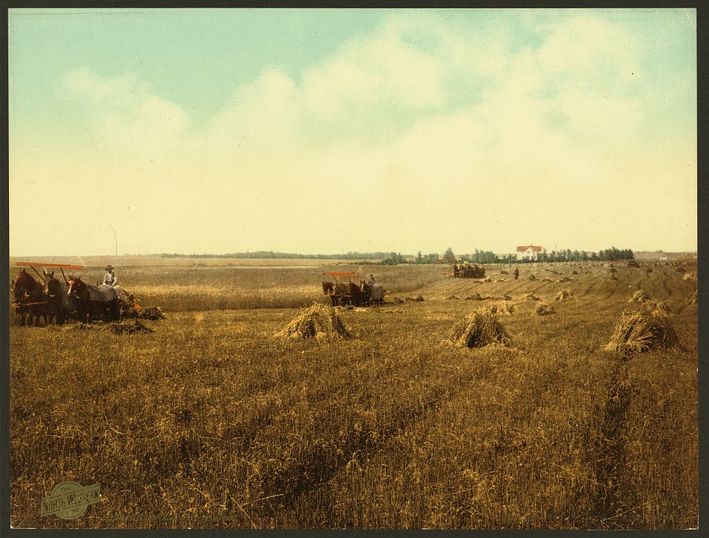 A picture of South Dakota harvest field