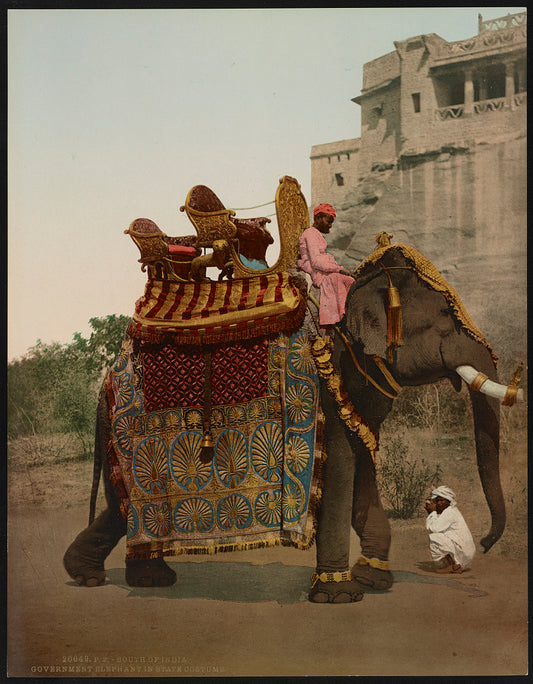 A picture of South of India. Government Elephant in State Costume