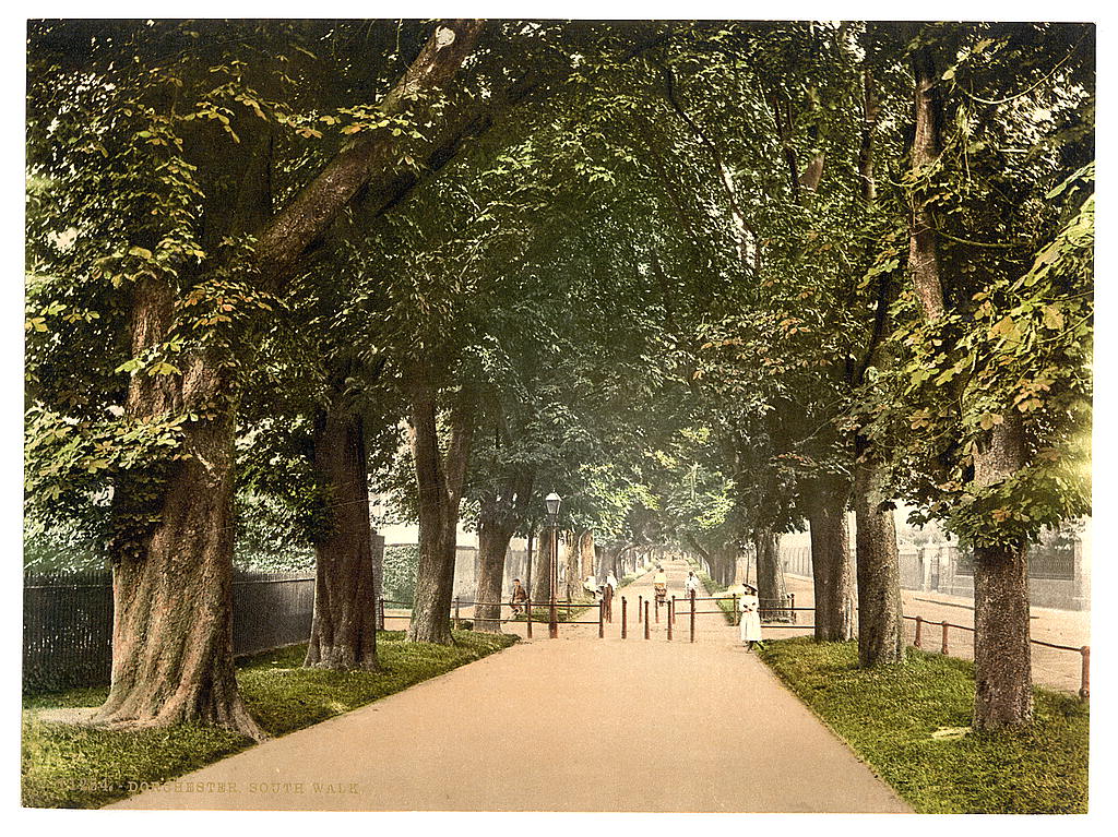 A picture of South Walk, Dorchester, England