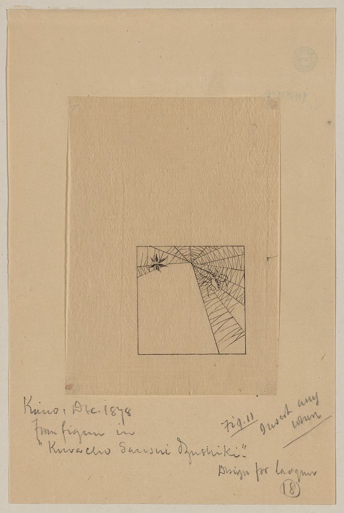 A picture of Spider and leaf on a spiderweb