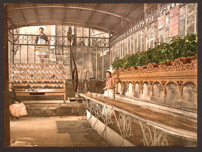 A picture of Spring of the Celestins, I, interior, Vichy, France
