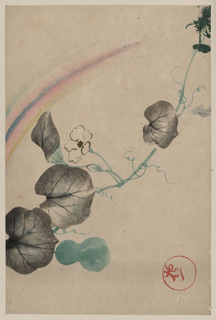 A picture of Squash vine with blossom, squash, and rainbow, with publisher seal in lower right