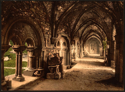 A picture of St. Bavon Abbey, the cloister, Ghent, Belgium