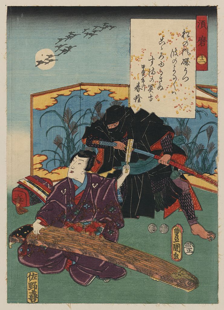 A picture of Suma