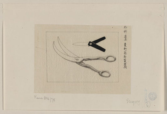 A picture of Surgery scissors and lancet