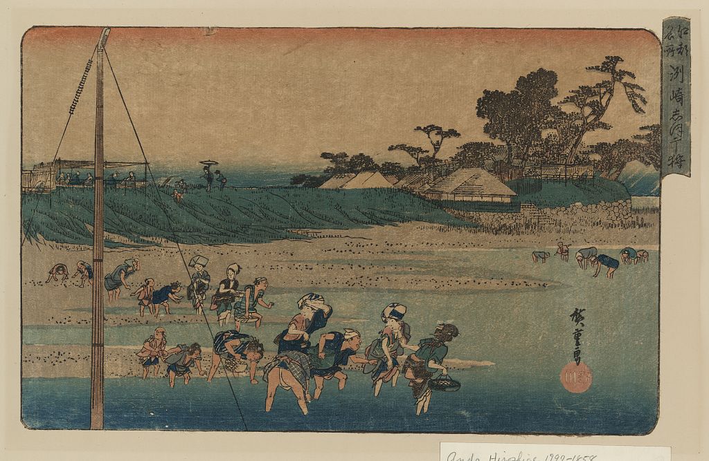 A picture of Susaki shiohigari