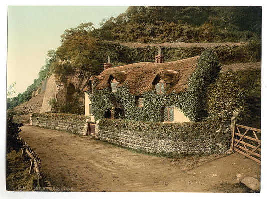 A picture of Swiss cottage, Lee (Devon), England