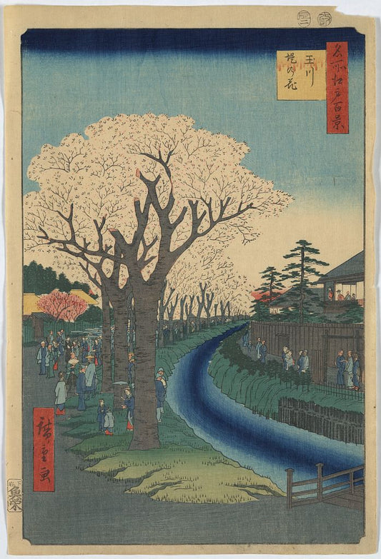A picture of Tamagawa-zutsumi no hana