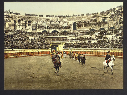 A picture of The arena, bull ring, Nîmes, France