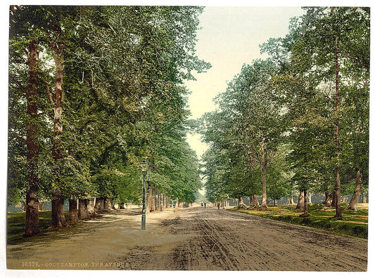 A picture of The Avenue, Southampton, England