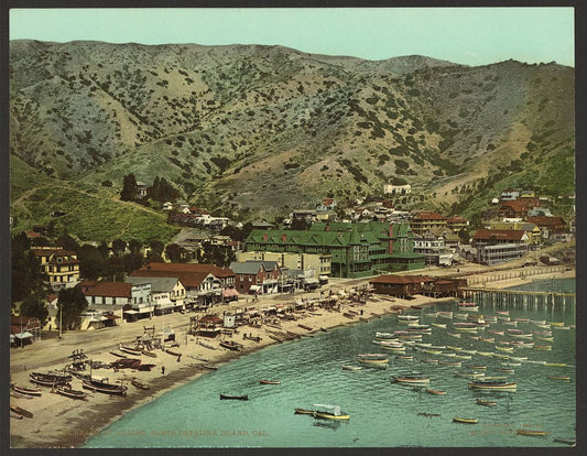 A picture of The beach at Avalon, Santa Catalina Island, Cal.