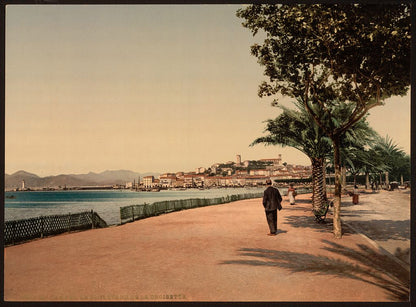 A picture of The boulevards, Cannes, Riviera