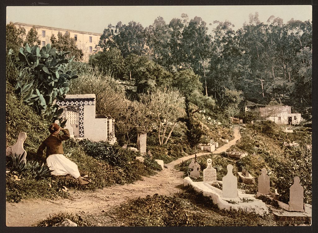 A picture of The cemetery, Algiers, Algeria