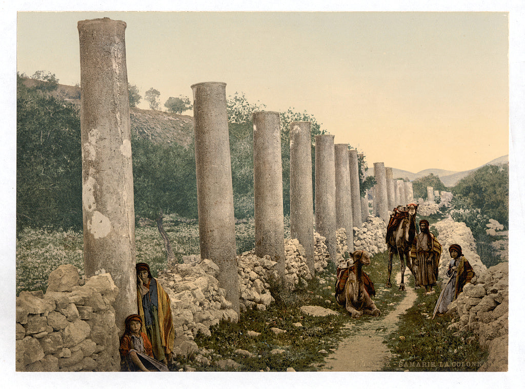 A picture of The colonnade, Samaria, Holy Land