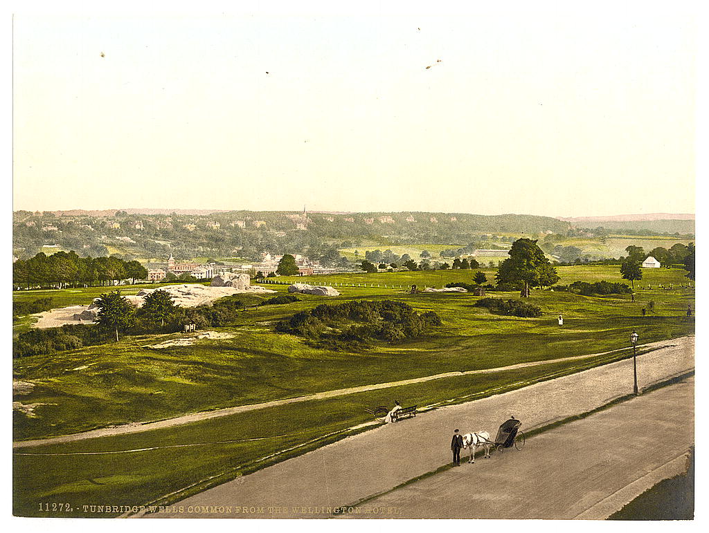 A picture of The common, from the Wellington Hotel, Tunbridge Wells, England