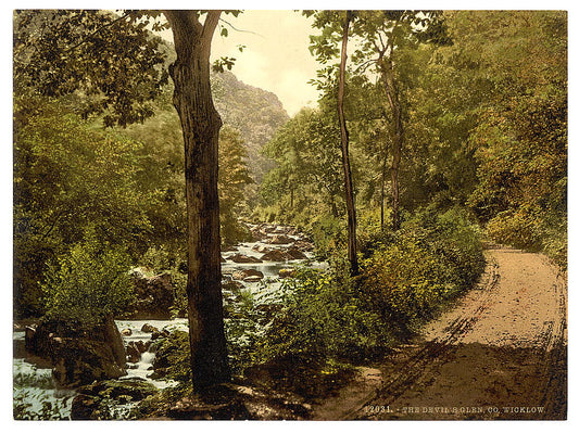 A picture of The Devil's Glen. County Wicklow, Ireland