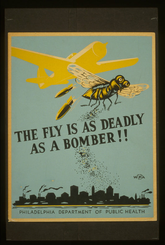 A picture of The fly is as deadly as a bomber!!