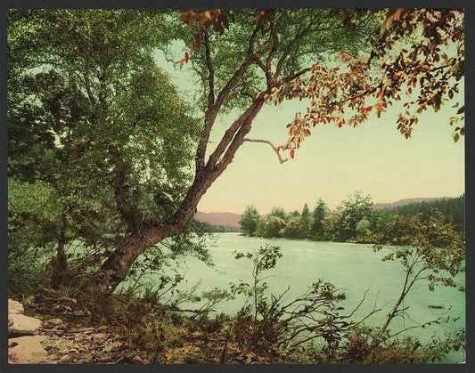 A picture of The French Broad at Jack's Run, North Carolina