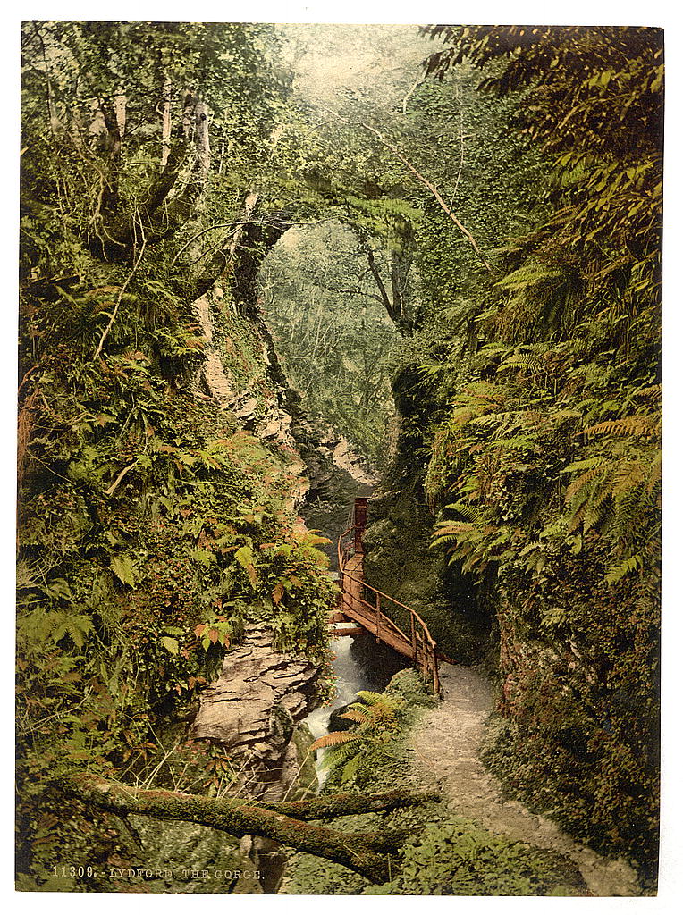 A picture of The gorge, Lydford, England