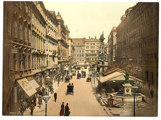 A picture of The Graben, Vienna, Austro-Hungary