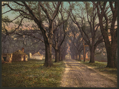 A picture of The Hermitage, Savannah