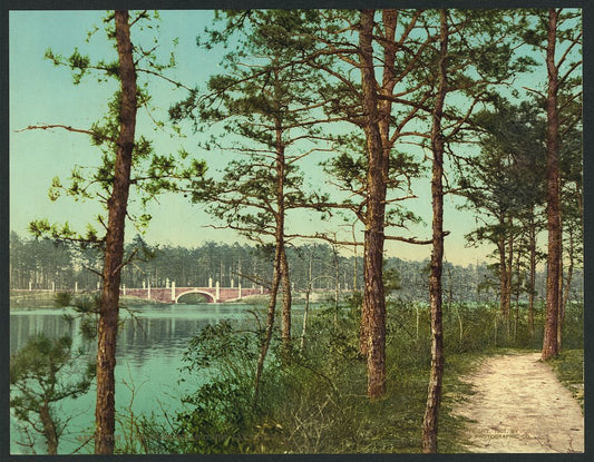 A picture of The lake at Georgian Court, Lakewood, N.J.