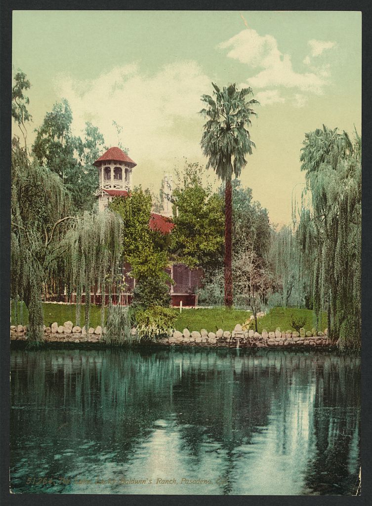 A picture of The lake, Lucky Baldwin's ranch, Pasadena, Cal.