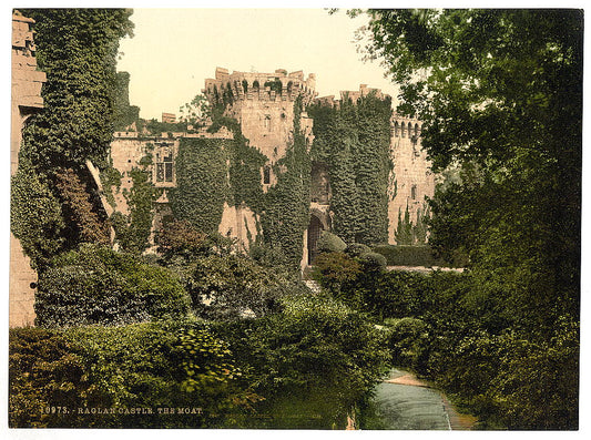 A picture of The moat, Raglan Castle, Wales