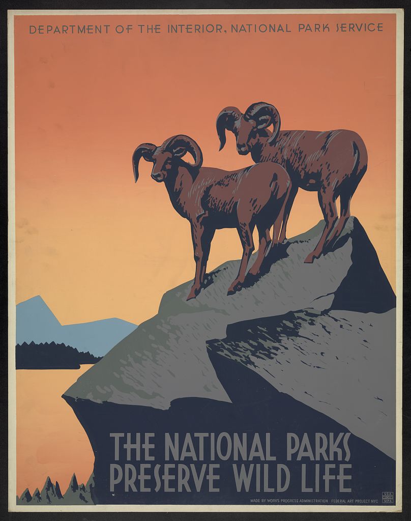 A picture of The national parks preserve wild life