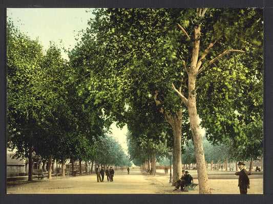 A picture of The Promenade, Montpelier, France