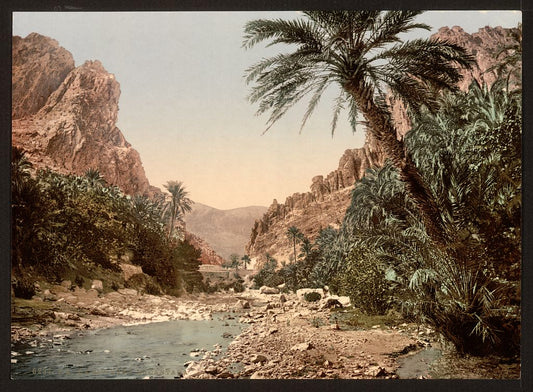 A picture of The river, El Cantara, Algeria