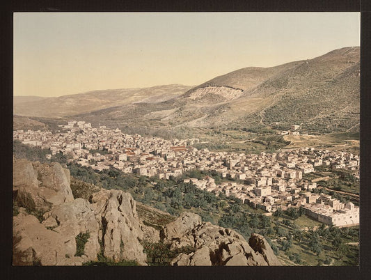 A picture of The vale of Napulus, (i.e., Nablus), Holy Land