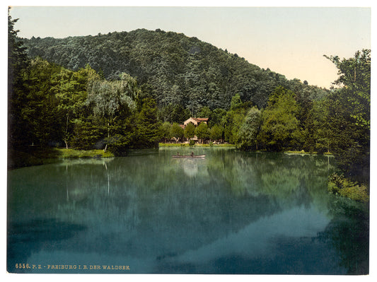 A picture of The Waldsee, Freiburg, Baden, Germany