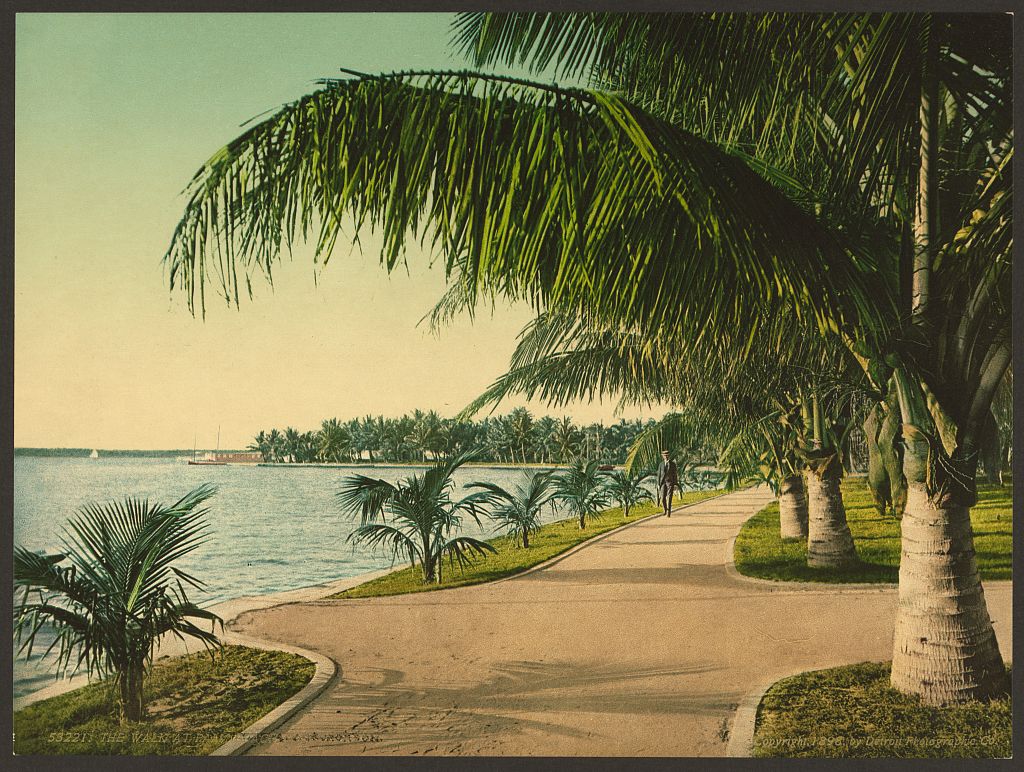 A picture of The walk at Palm Beach