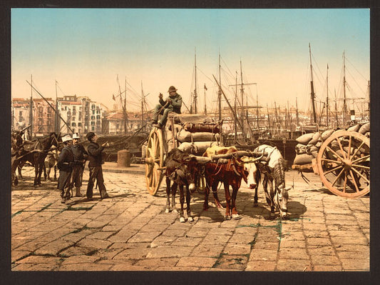 A picture of The wharf, Naples, Italy