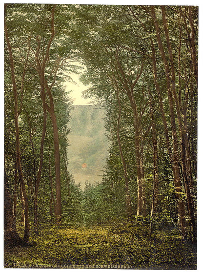 A picture of The Zauberhole and the Schweizerhaus, Niederwald Monument, the Rhine, Germany