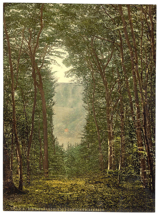 A picture of The Zauberhole and the Schweizerhaus, Niederwald Monument, the Rhine, Germany