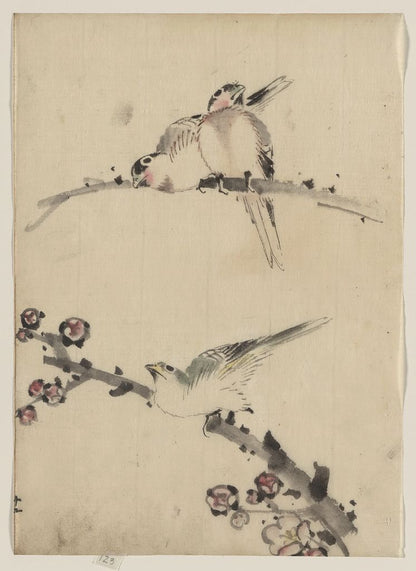 A picture of Three birds perched on branches, one with blossoms