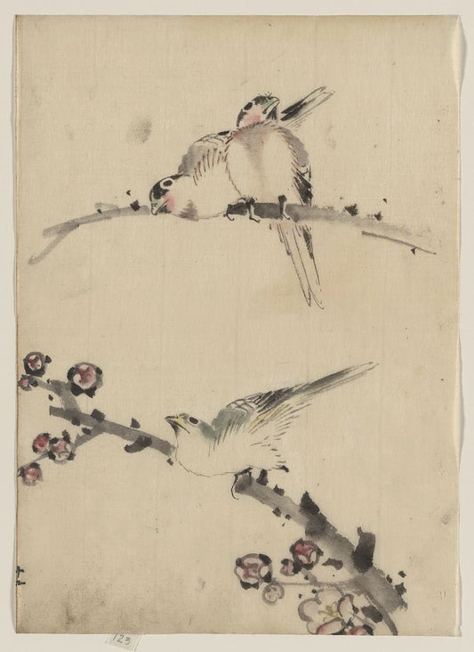 A picture of Three birds perched on branches, one with blossoms