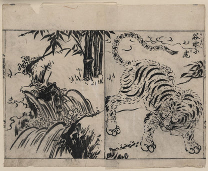 A picture of Tiger near a cataract