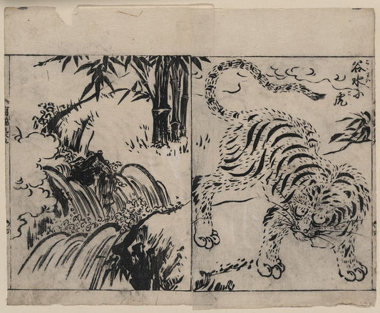 A picture of Tiger near a cataract