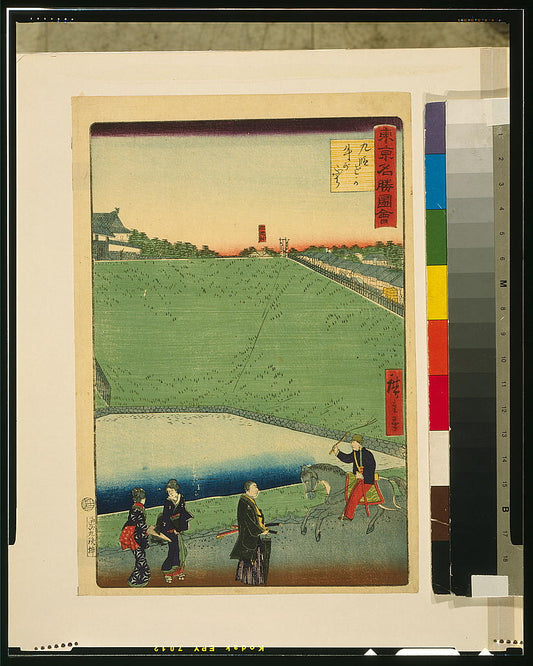A picture of Tōkyō meishō zue: Kudanzaka Ushigabuchi
