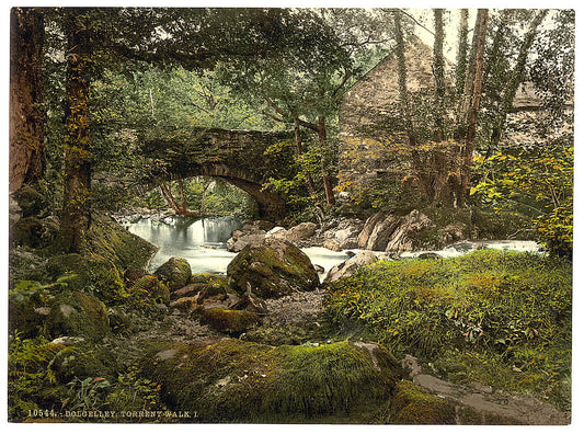 A picture of Torrent Walk I, Dolgelly (i.e. Dolgellau), Wales