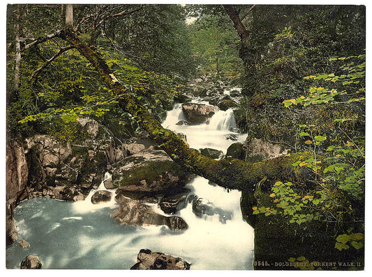 A picture of Torrent Walk II, Dolgelly (i.e. Dolgellau), Wales